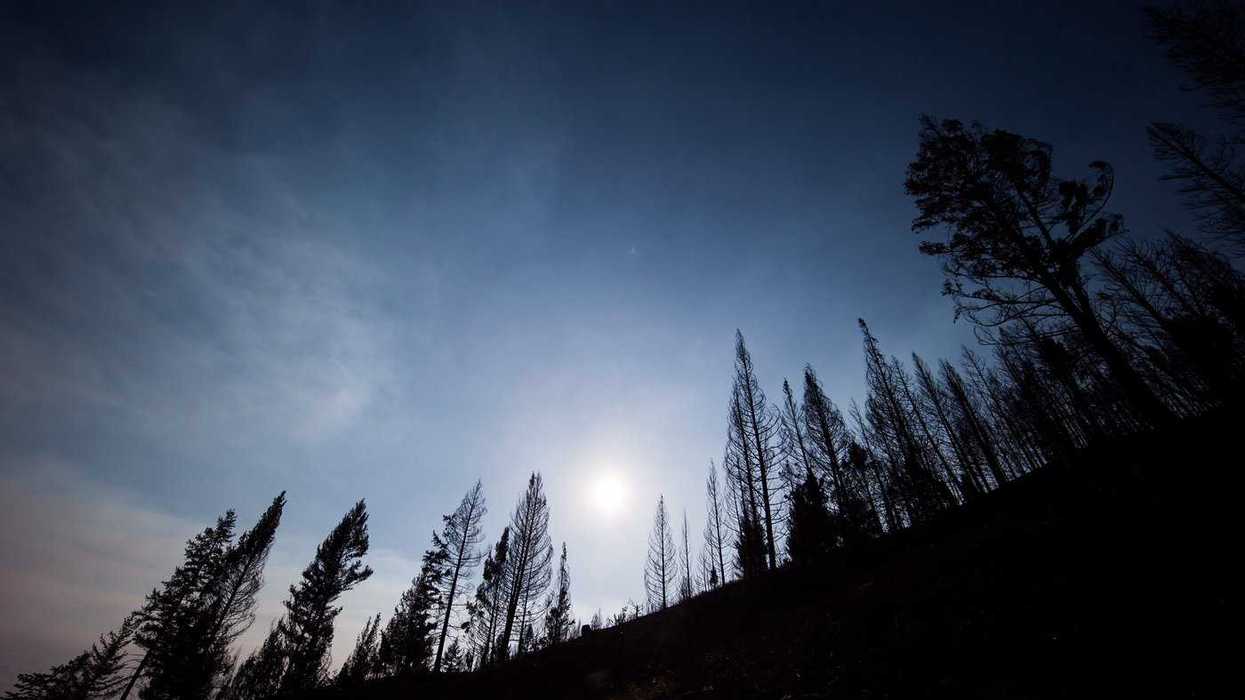 Wildfire evacuation order for Boston Bar, B.C.