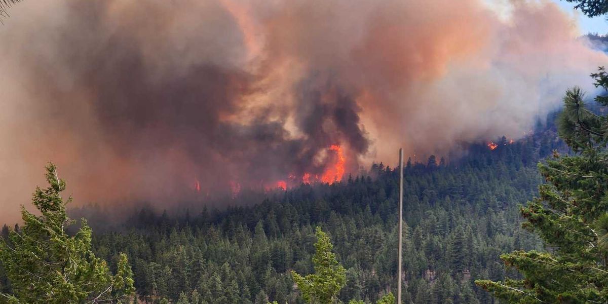 Migrant workers left with uncertain future amid B.C. wildfire evacuations Migrant workers left with uncertain future amid B.C. wildfire evacuations