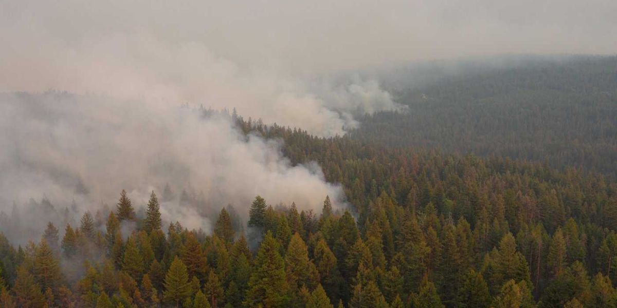 Wildfire near Summerland, B.C., remains active as residents return Wildfire near Summerland, B.C., remains active as residents return