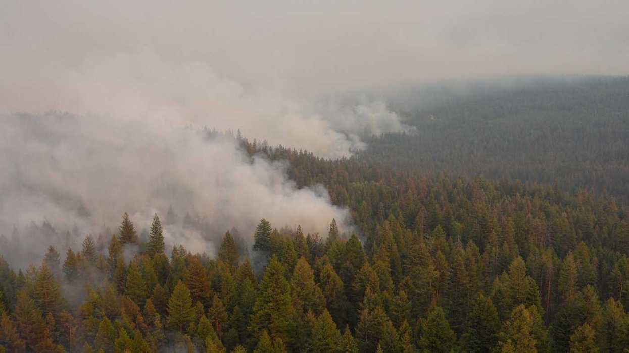 Wildfire near Summerland, B.C., remains active