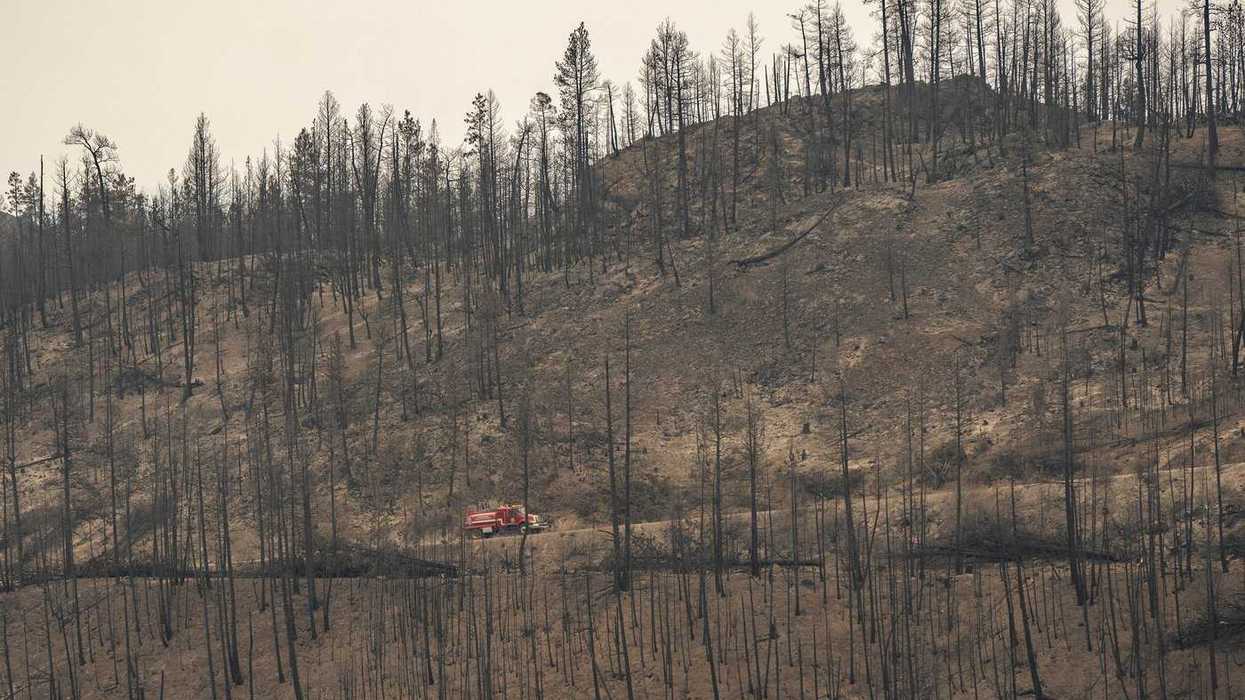 Wildfires expose accessibility failures: advocates