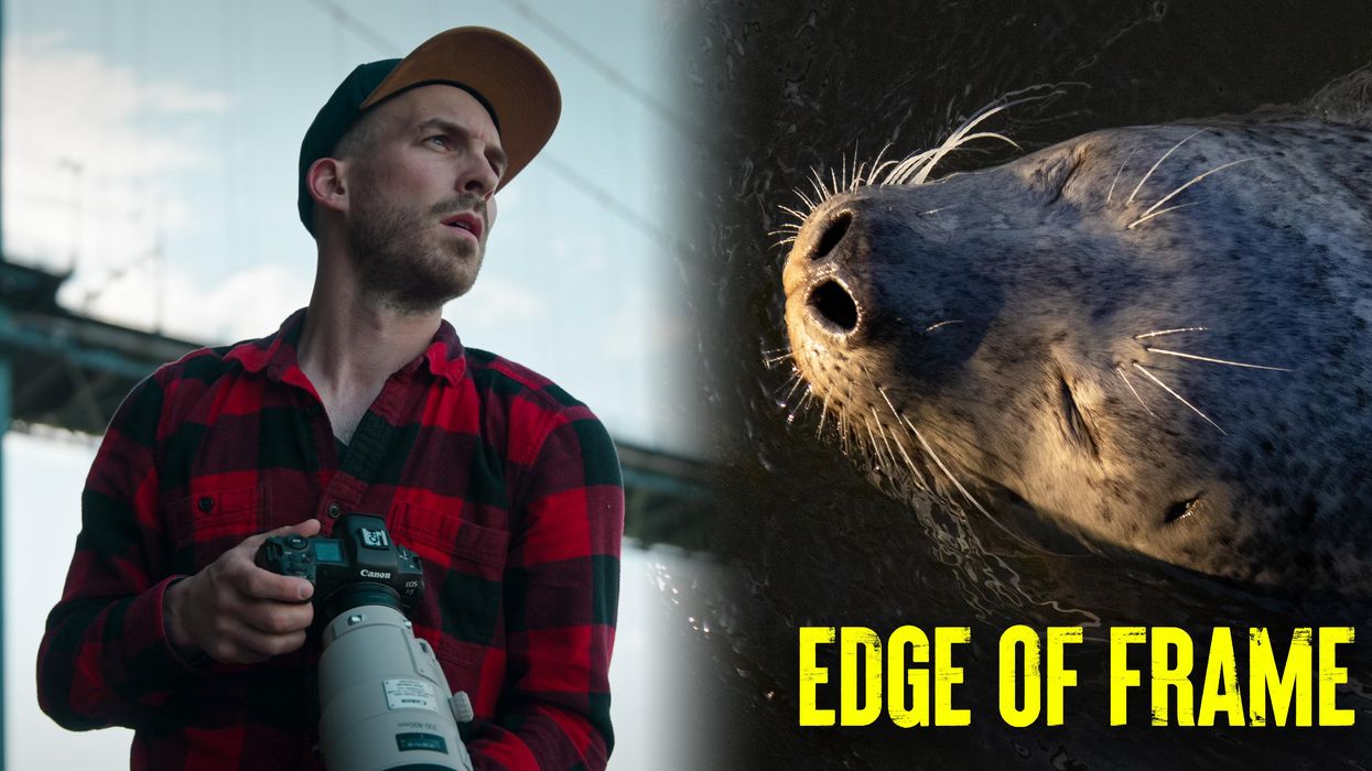 Wildlife photographer Andrew Budziak is the creator of "Edge of Frame."