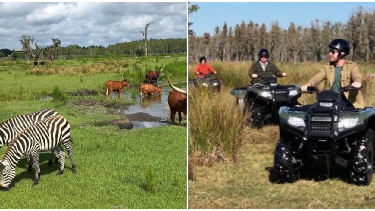 Wildlife Safari Near Orlando ATV Tours Through The Park