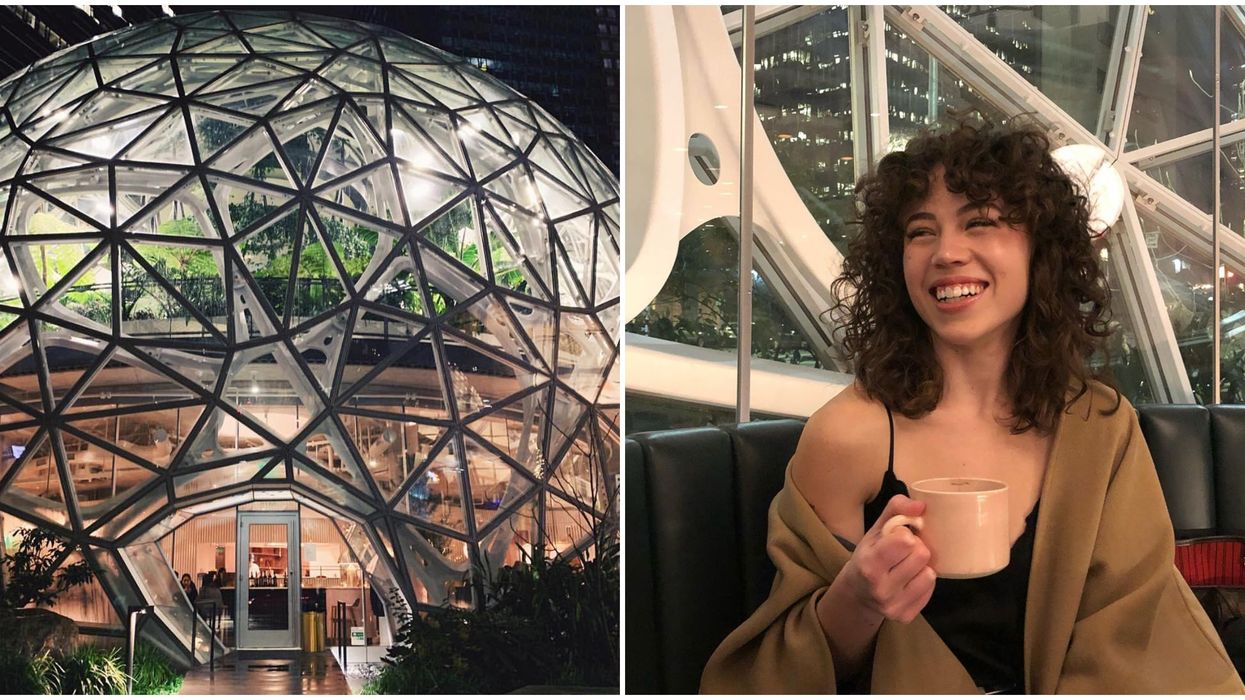 Willmott's Ghost In Seattle Looks Like A Greenhouse With Delicious Italian Food