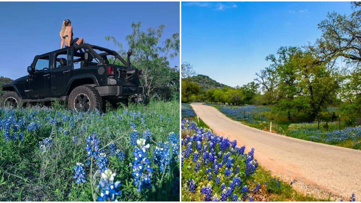 Willow City Loop In Fredericksburg Is The Perfect Scenic Drive