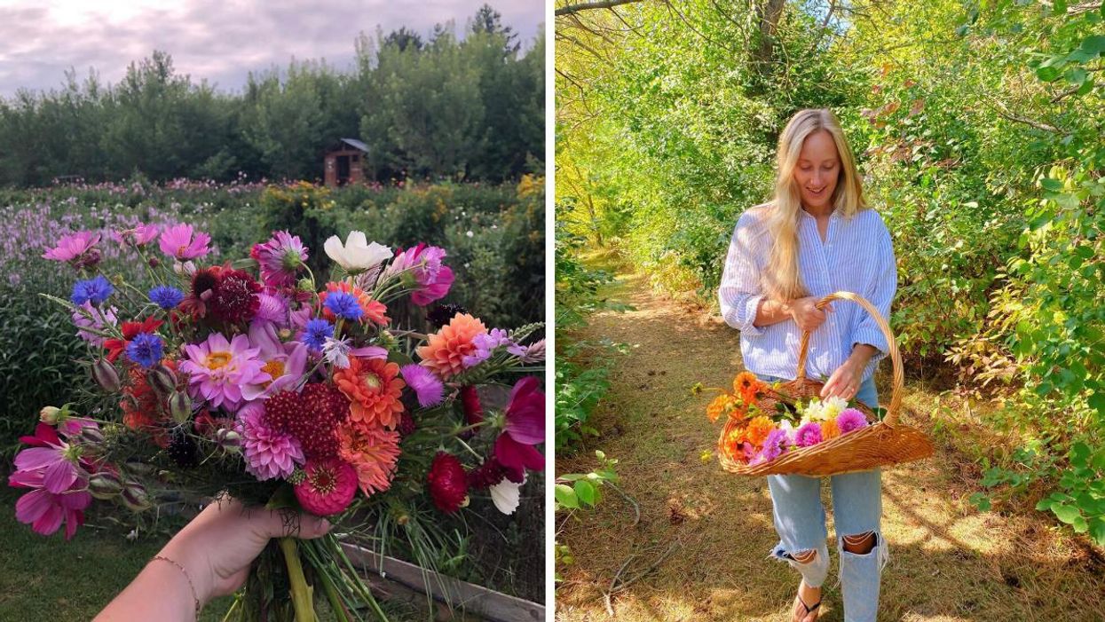 Windecker Woods Flower Farm in Cayuga, Ontario.