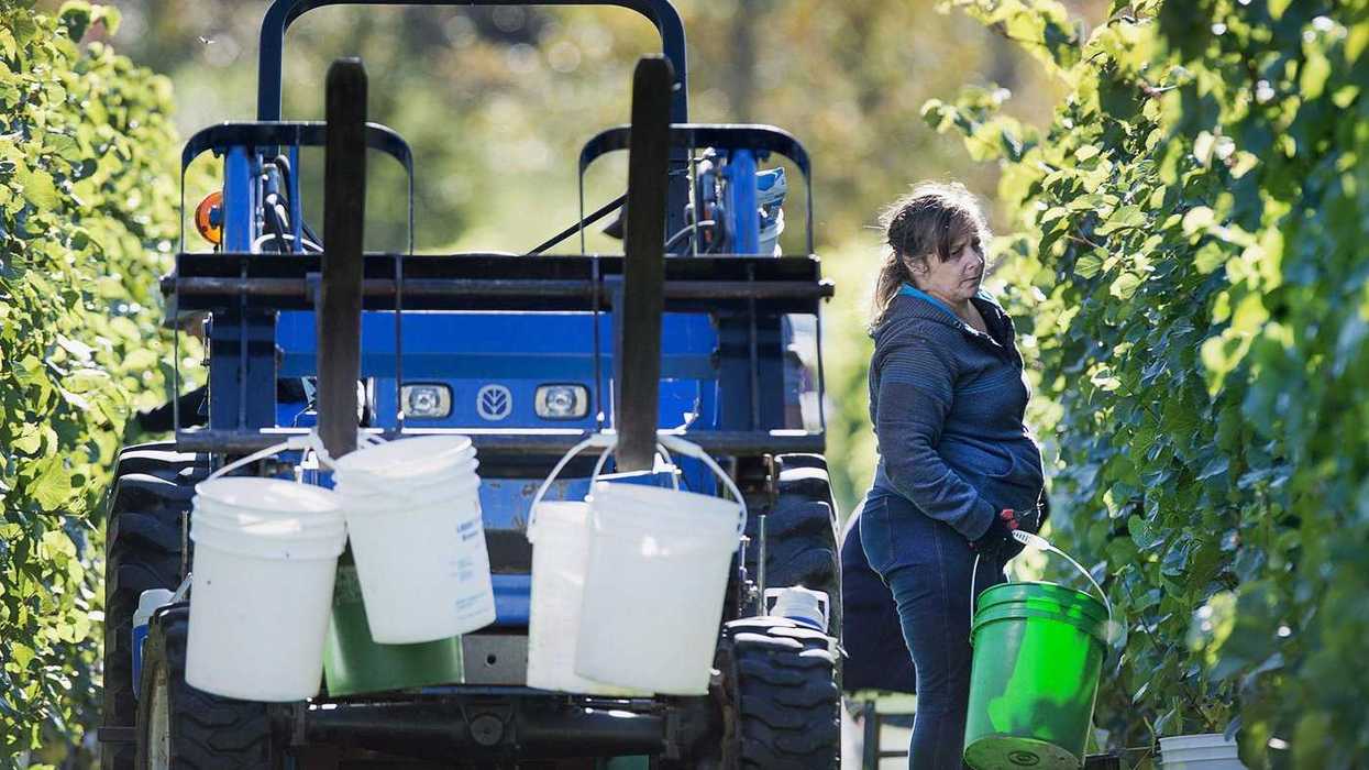 Wineries take aim at provincial trade barriers
