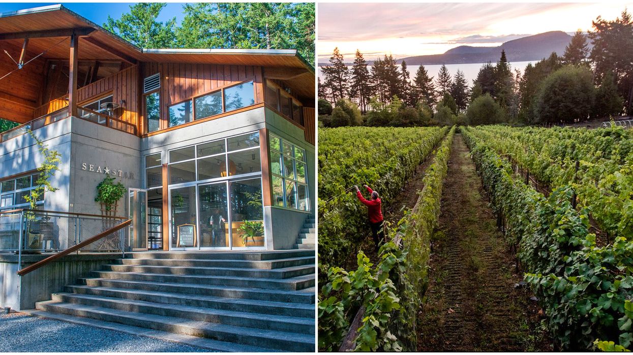 Winery For Sale In BC Is Right On The Ocean & You Can Actually Live There Too