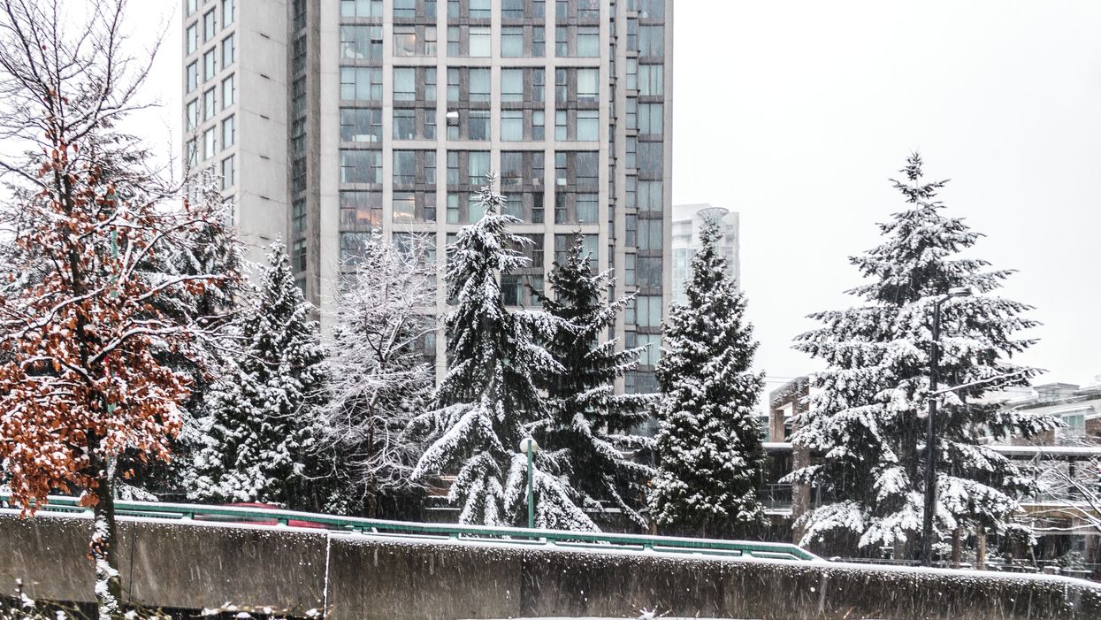 Winter In BC: An 'Arctic' Snow Storm With Up To 15 cms Of Snow Is Coming On Friday