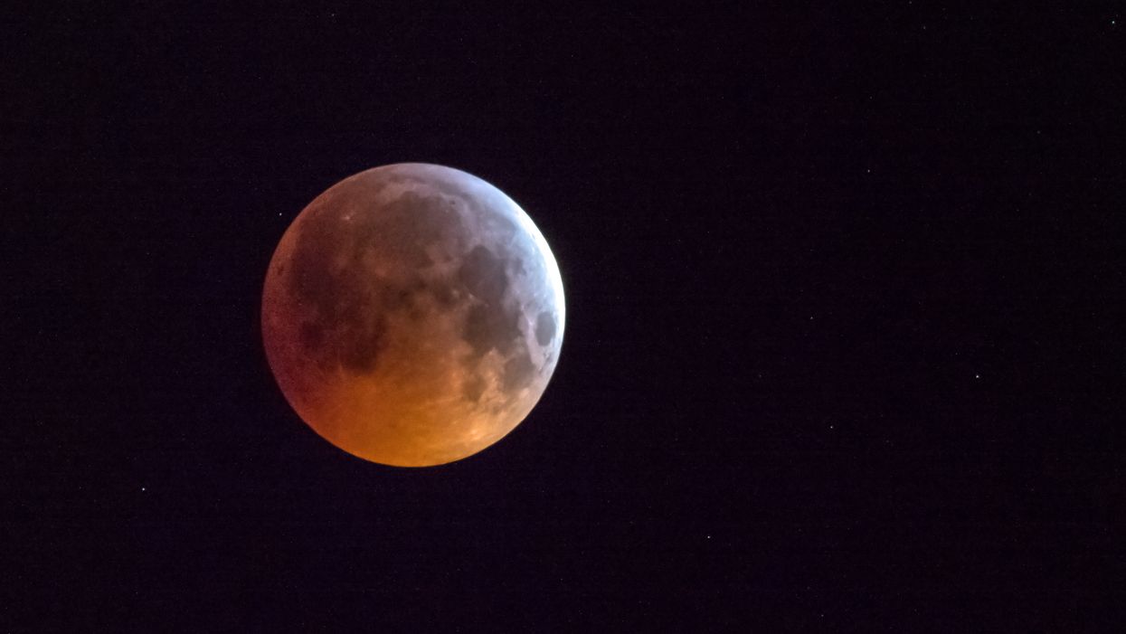 Wolf Moon January 2021