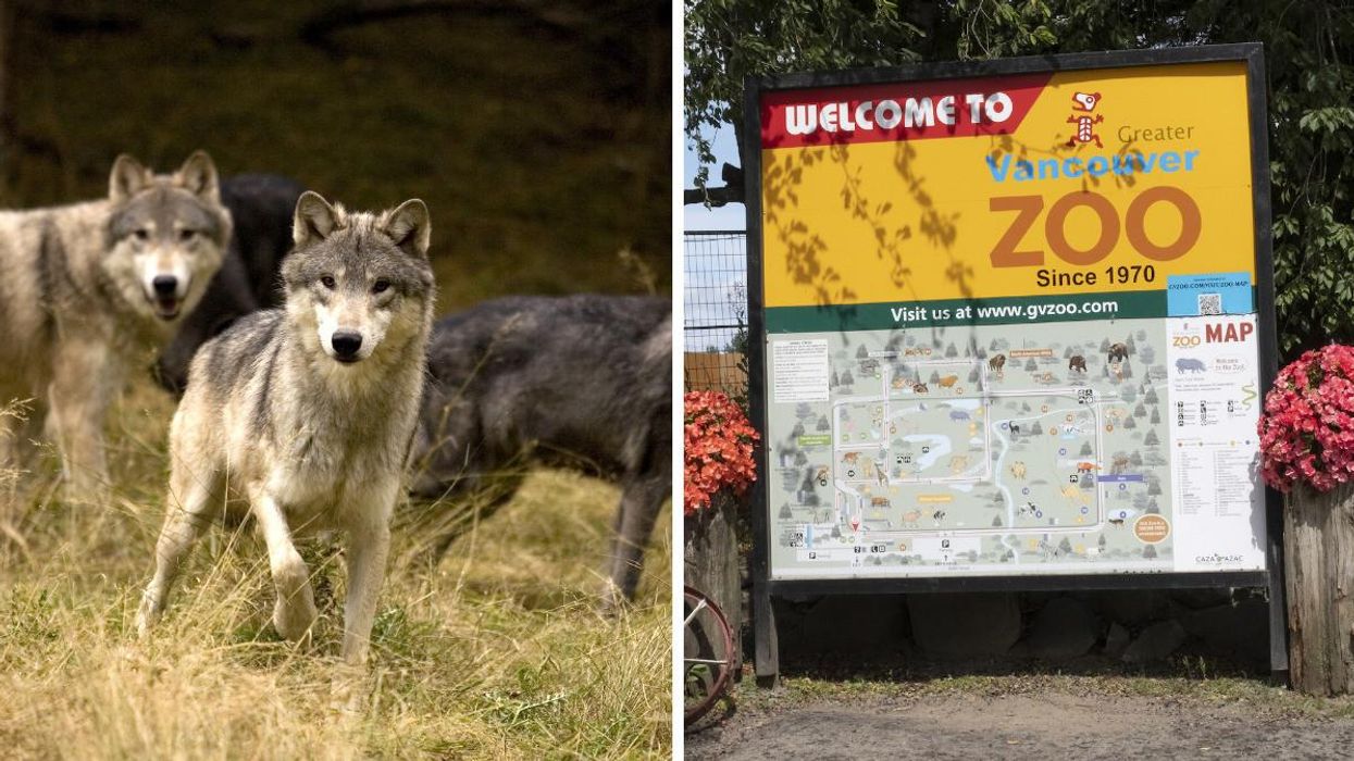 Wolves. Right: Greater Vancouver Zoo sign.