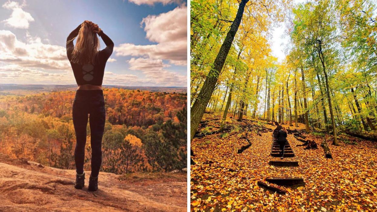 Woman gazing over a forest of fall colours. Right: A stairway covered with leaves in a forest.