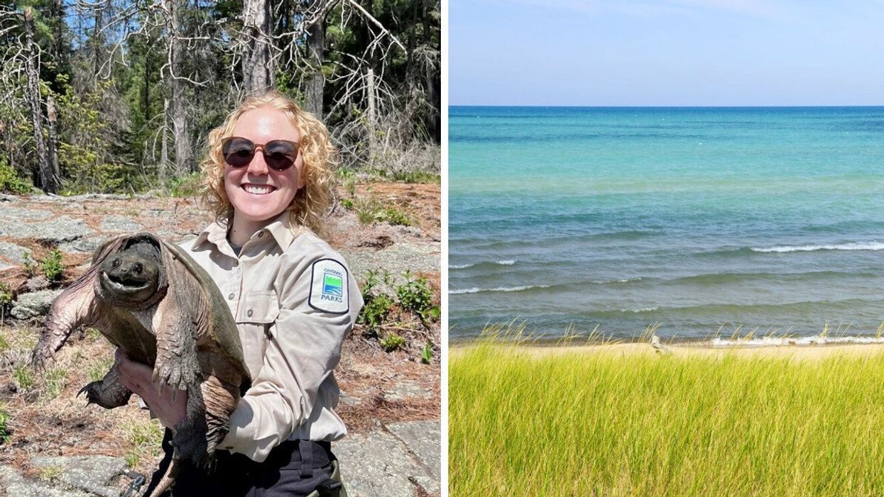 Woman holding a turtle. Right: Pinery Provincial Park.