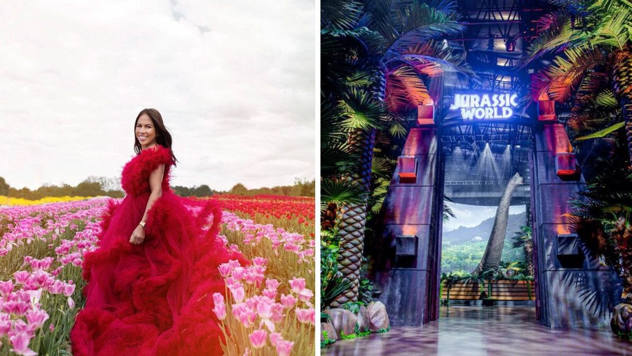 Woman in a red dress in a tulip field. Right: Jurassic World Exhibition.