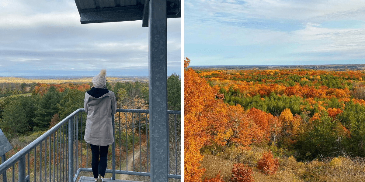 Look Out Photo This Ontario Lookout Tower Has Scenic Views Of Fall Leaves & It's A ...