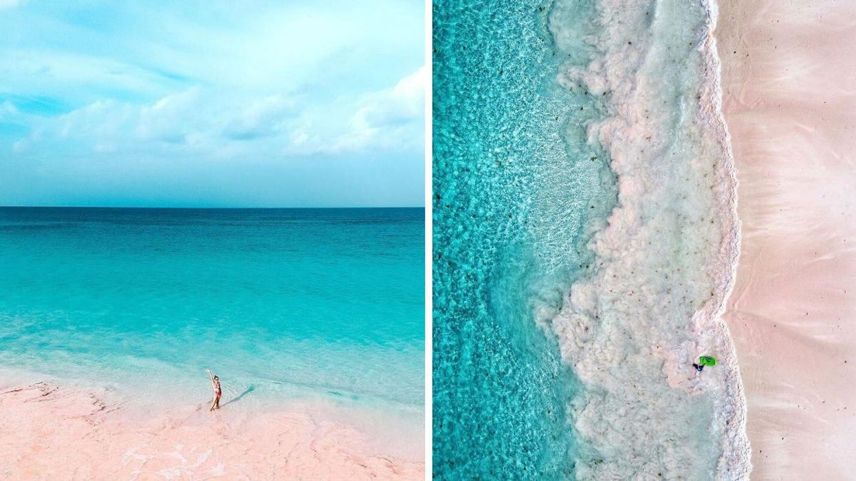 Woman posing on the pink beach. Right: Waves at Pink Sands Beach.
