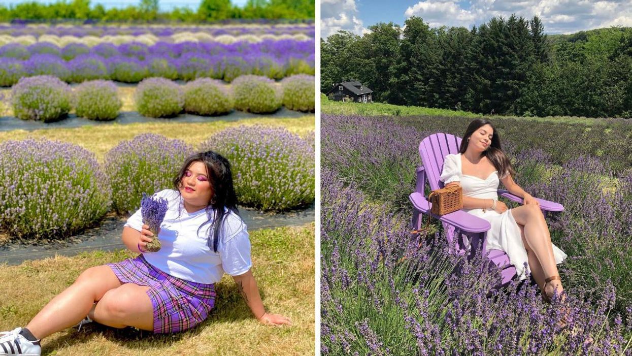 Woman sitting in a lavender field holding flowers. Right: Woman sitting in a purple chair in a lavender field.