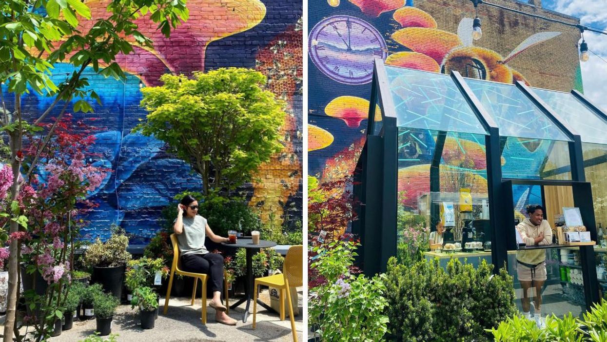 Woman sitting on a patio surrounded by plants. Right: Man standing in a glass coffeehouse.