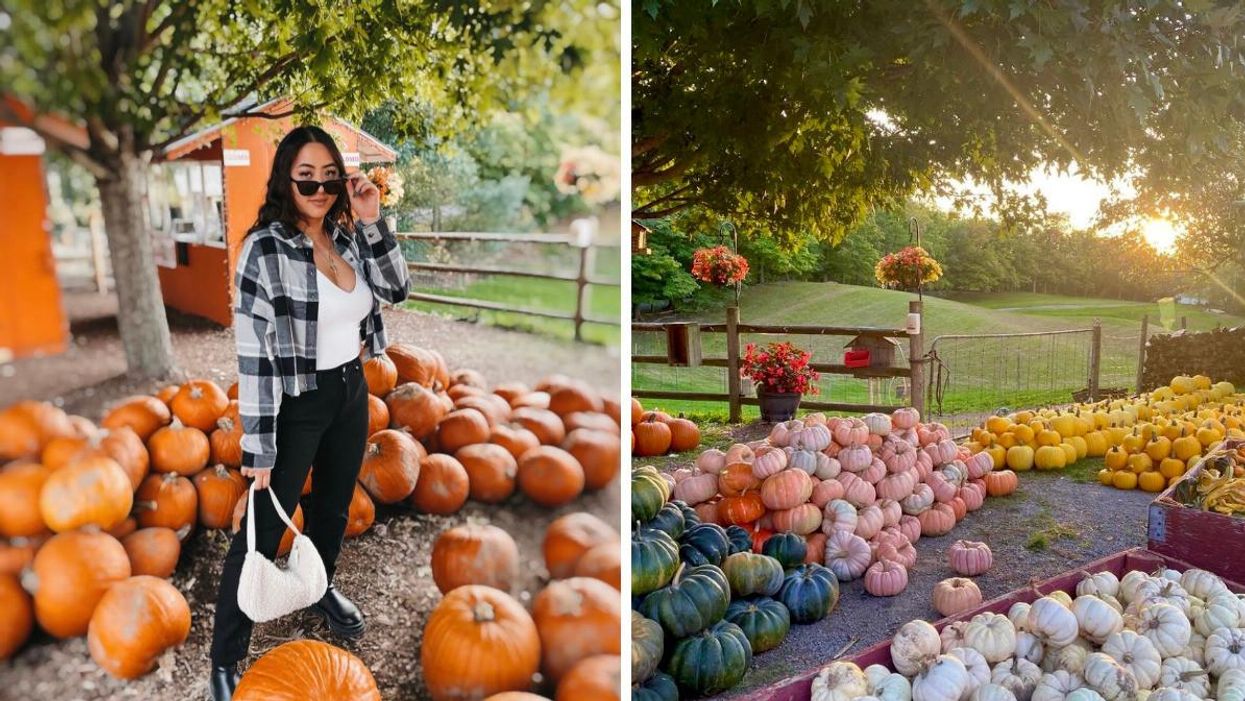 Woman standing by some pumpkins. Right: Pumpkins beneath trees.