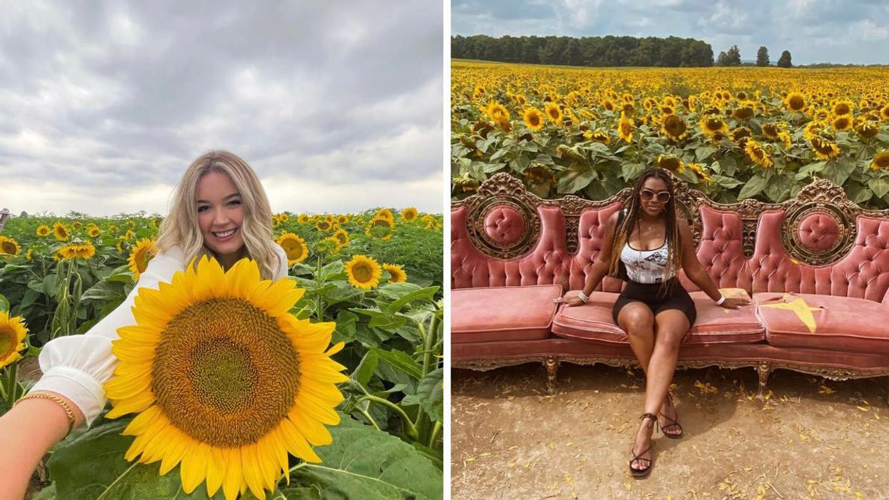 Woman standing in a sunflower field. Right: Woman sitting on a pink couch in a sunflower field.