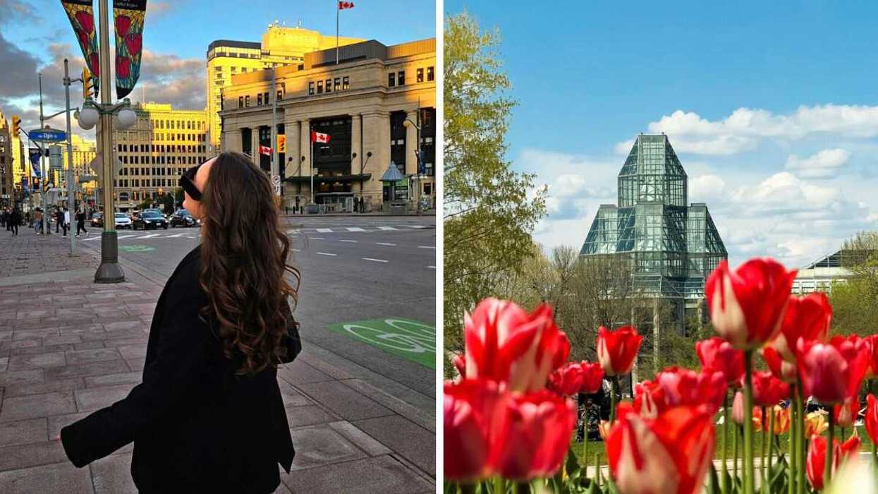 Woman standing on a downtown Ottawa street with city buildings behind her, Right: The National Gallery of Canada with red tulips in the foreground at Major's Hill Park.