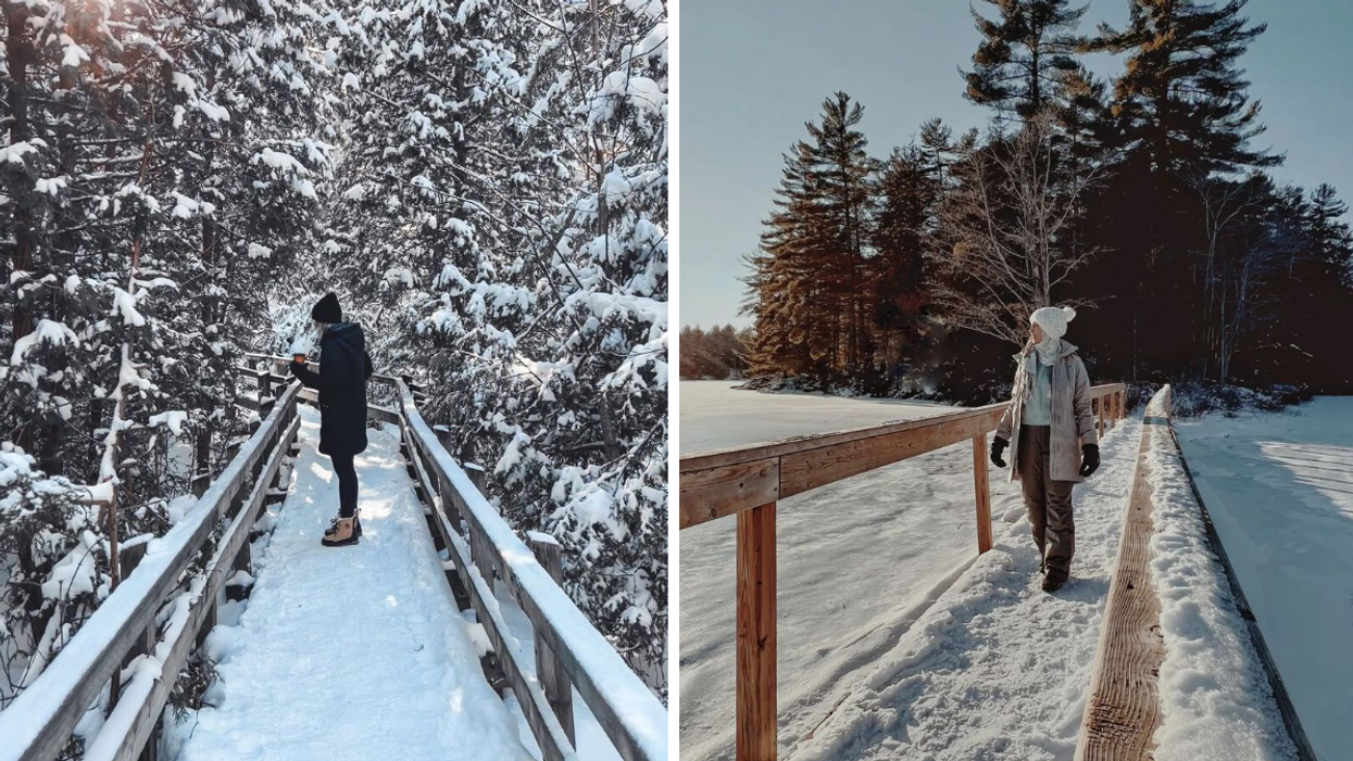 Woman standing on a snow-covered boardwalk trail. Right: Woman hiking on a boardwalk in the winter.
