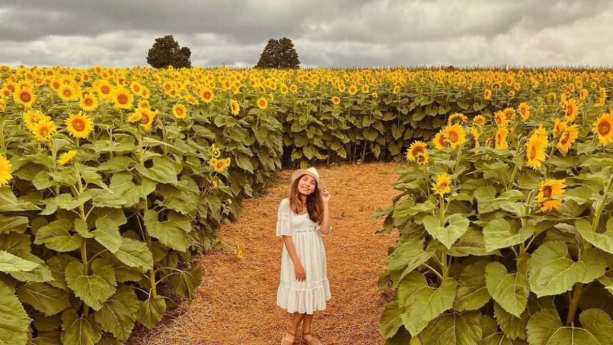 Woman standing on a trail through a sunflower field.