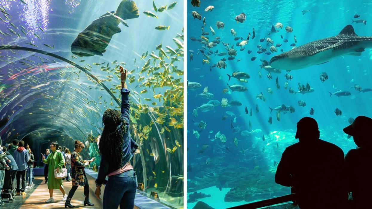 Woman standing under the sea. Right: Friends handing out at the Georgia Aquarium.