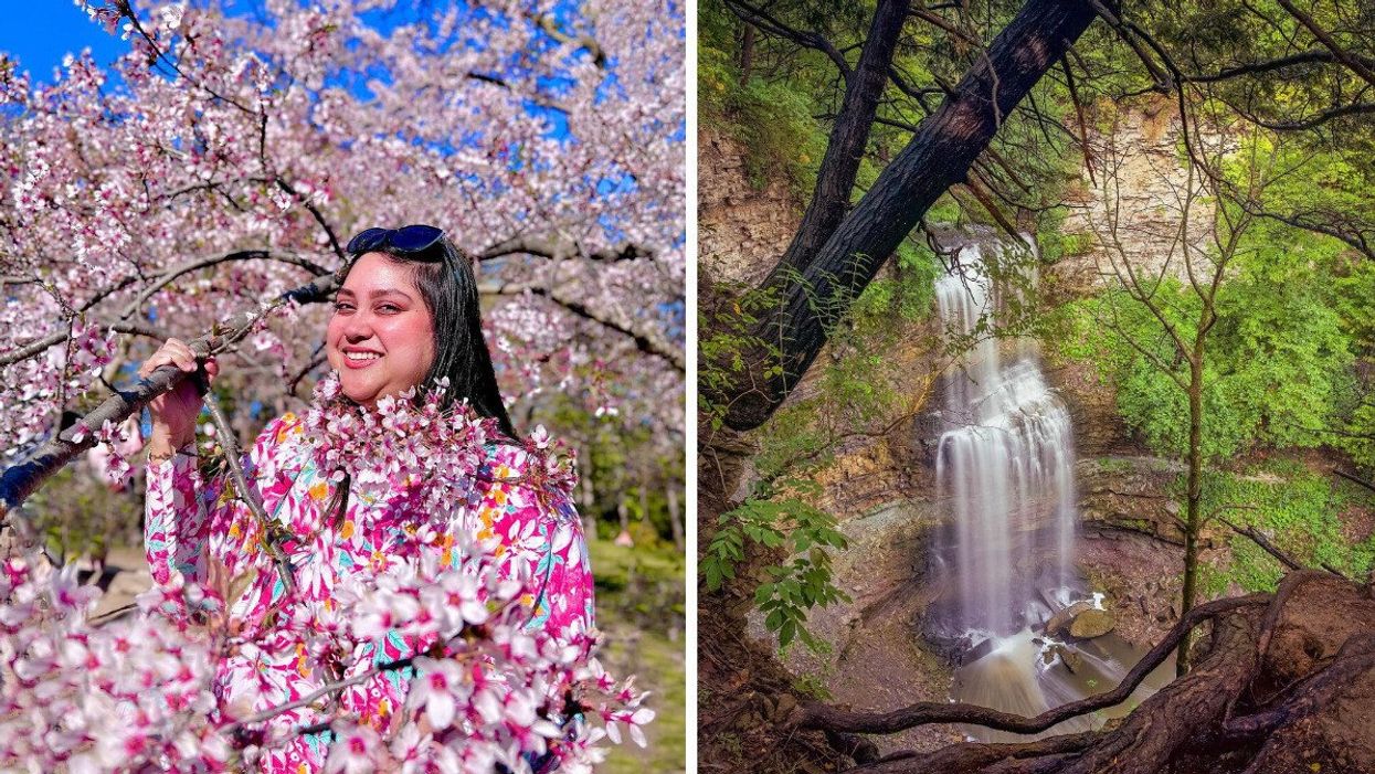 Woman standing with cherry blossoms. Right: Felker's Falls.
