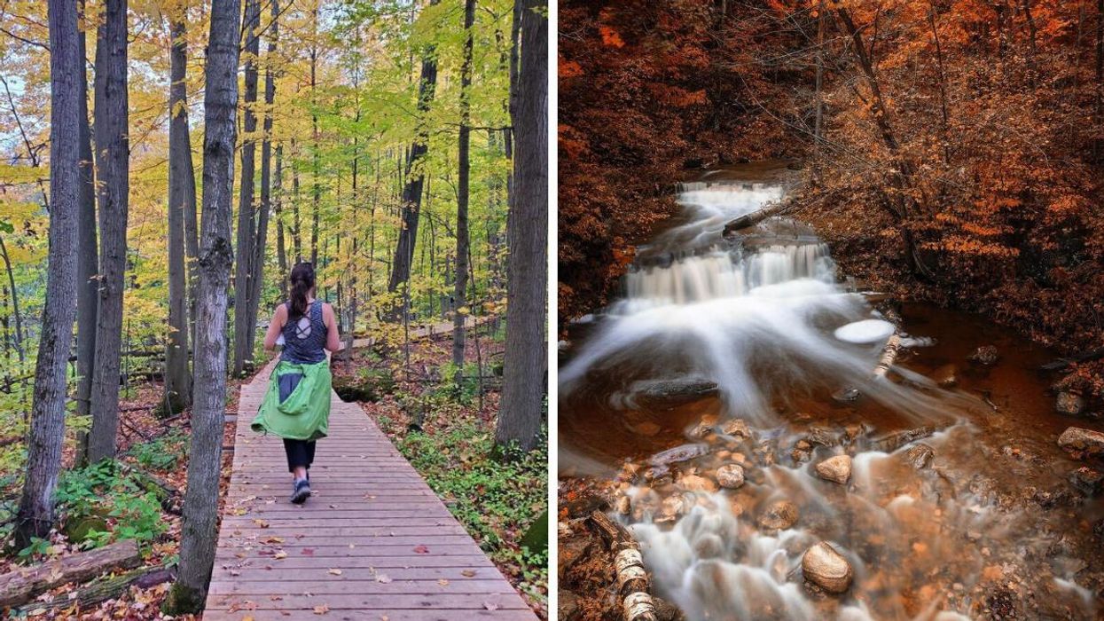 Woman walking along a boardwalk. Right: A waterfall surrounded by trees.