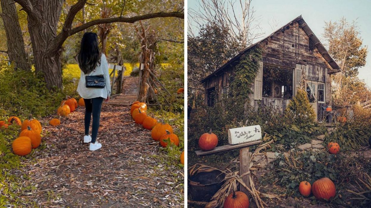 Woman walking along a path lined with pumpkins. Right: Witch's Lair at Knox Farm.