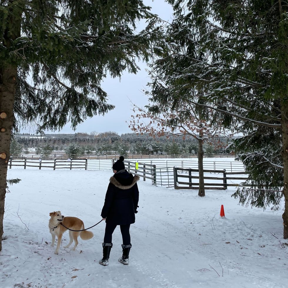 woman walking with a dog on a snow-covered trail under a canopy of trees