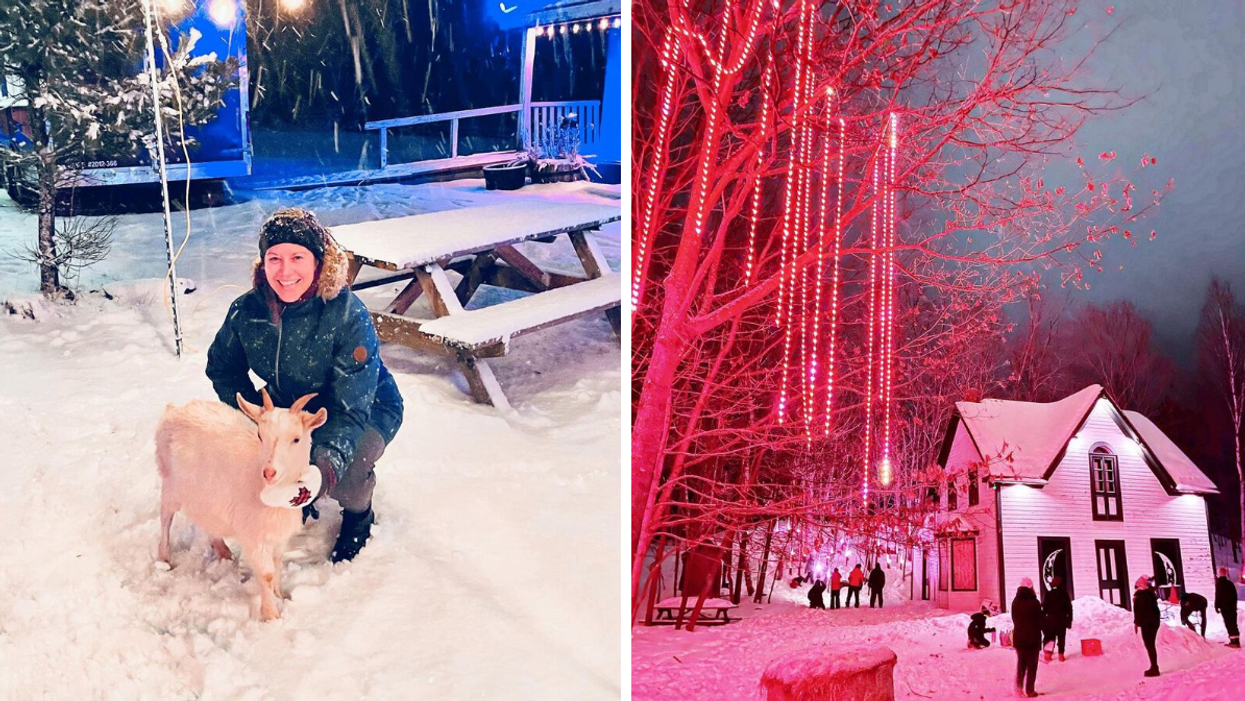 Woman with a goat. Right: Heritage building by a tree with dangling twinkly lights.