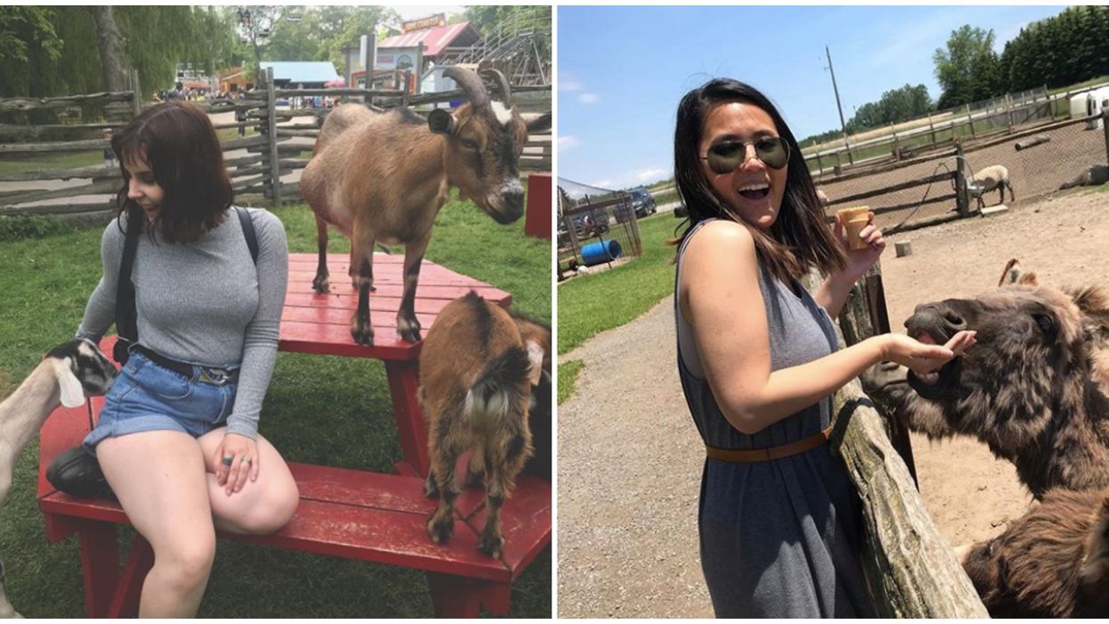 Women enjoy meeting goats at petting farms near Toronto