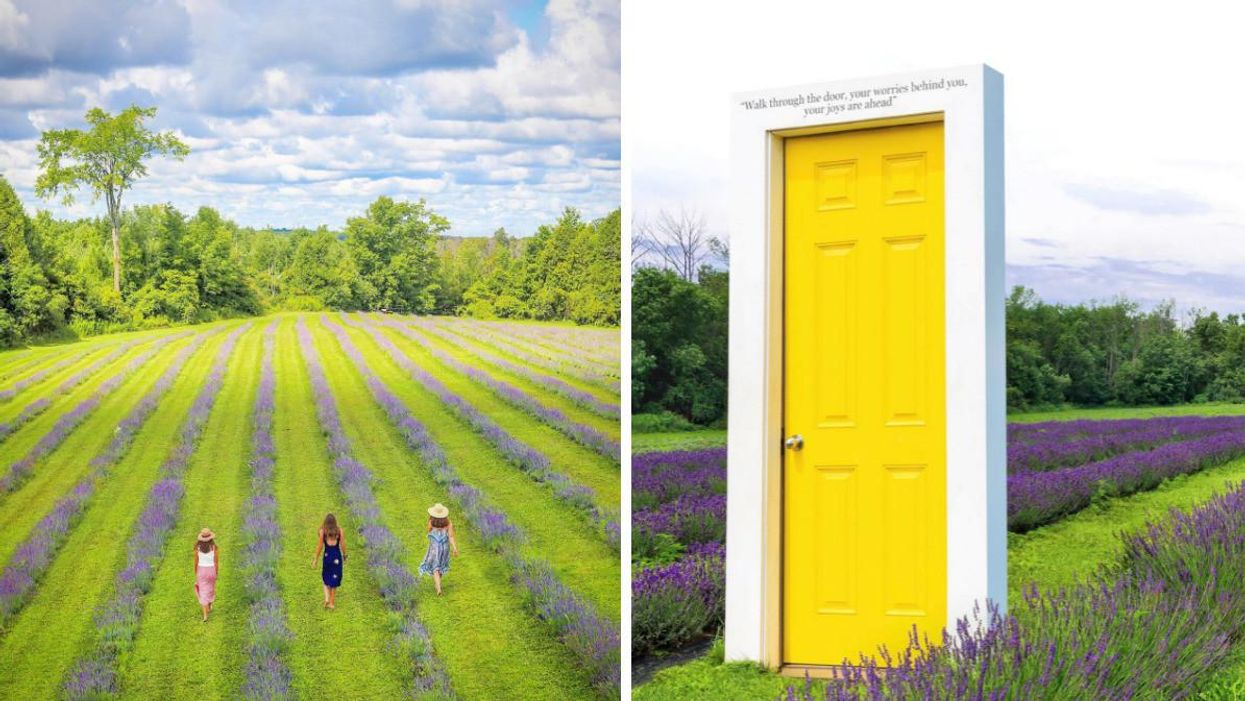 Women walking through rows of lavender. Right: The yellow door at Terre Bleu farm.