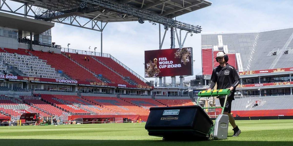 FIFA World Cup, youth job gains gave the labour market a lift in June FIFA World Cup, youth job gains gave the labour market a lift in June