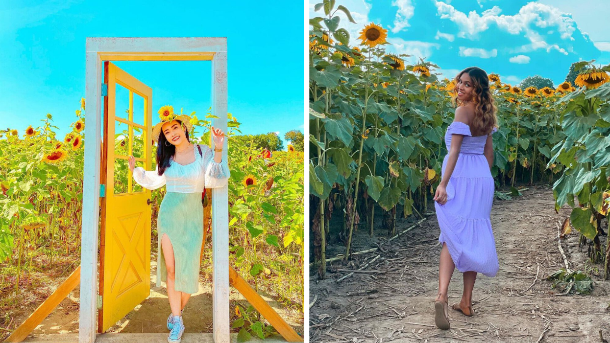 Yellow door photo stop in the sunflower field. Right: Walking through the Sunflower Experience trail.
