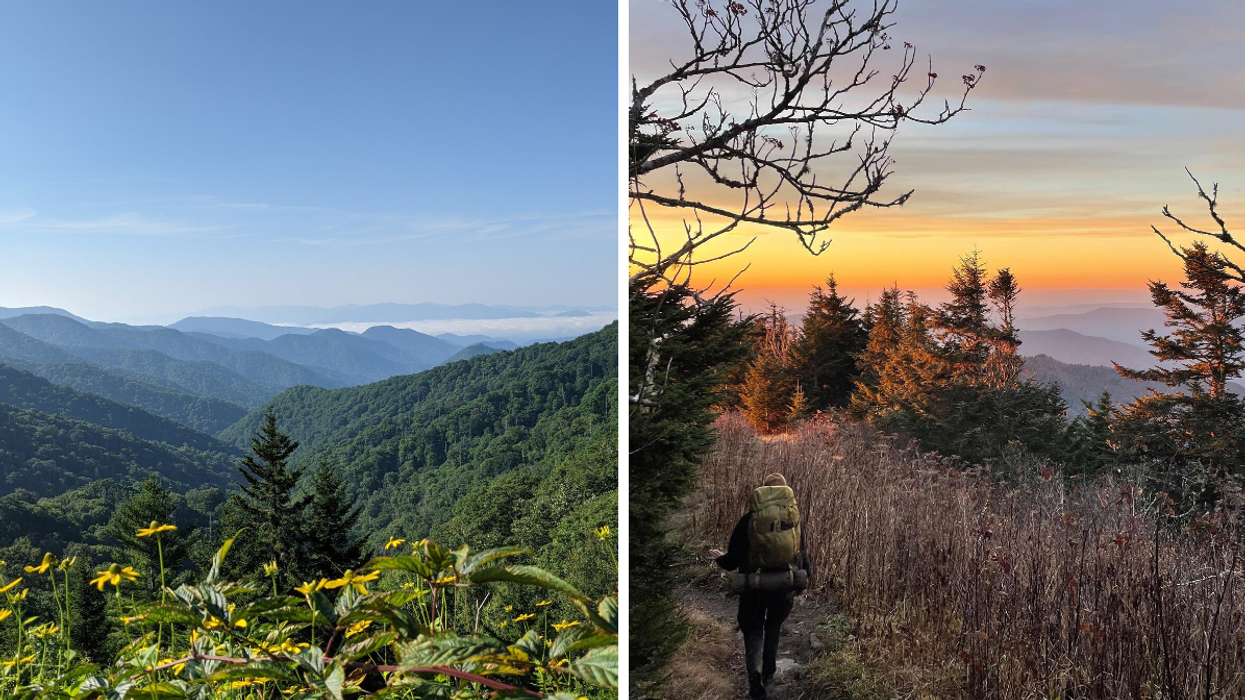 Yellow wildflowers overlooking the Great Smoky Mountains. Right: A backpacker at sunrise hiking through the Smoky Mountains.