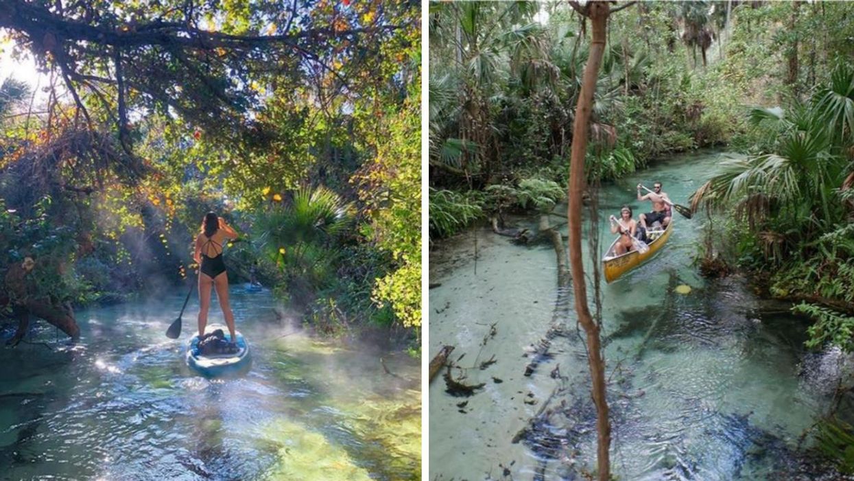 You Can Camp For Only $30 A Night At This Amazon-Like Jungle Oasis In Florida
