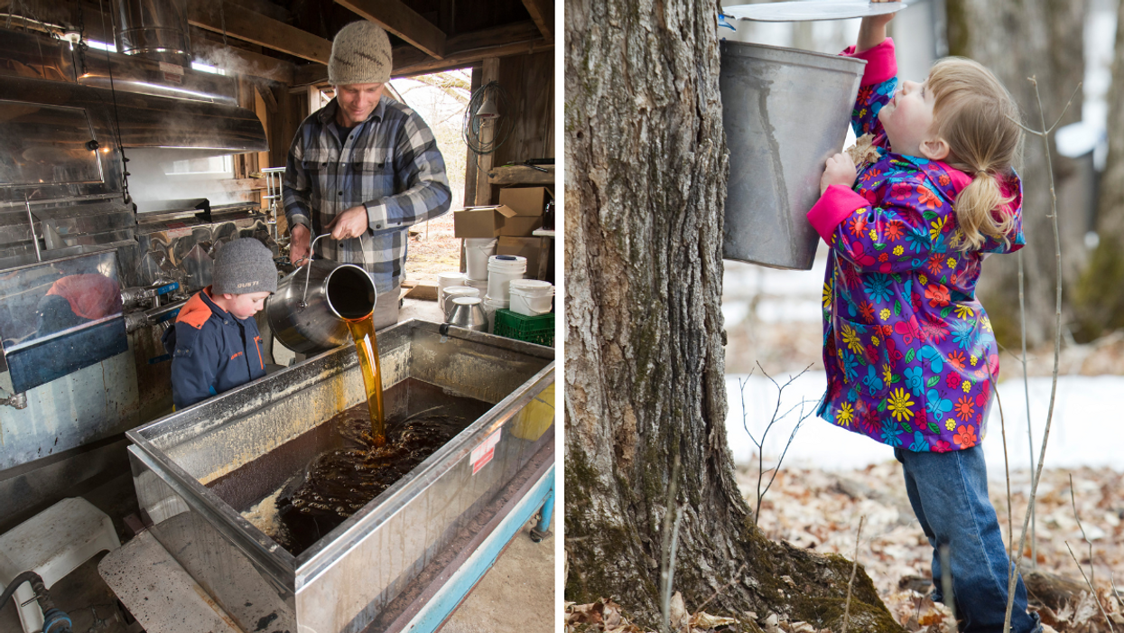 You Can Experience The Sweet Tradition Of Maple Magic In Kawartha Lakes
