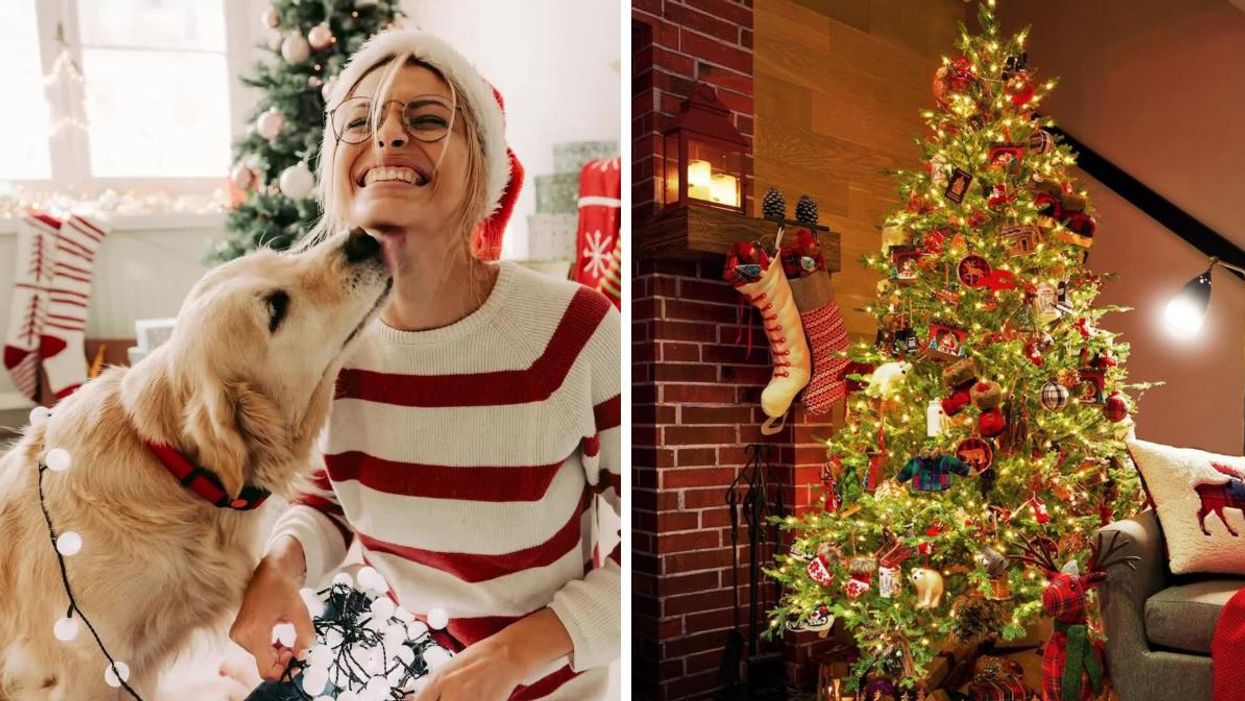 You Can Get 50% Off Christmas Trees At Canadian Tire RN & Deck The Halls With Holiday Spirit