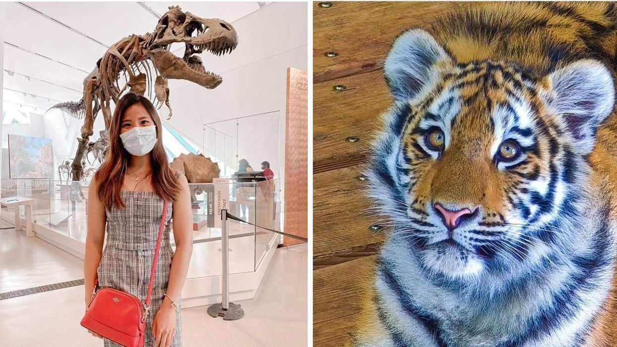 You Can Get Free AGO, ROM & Zoo Passes From The Toronto Public Library & Here's How