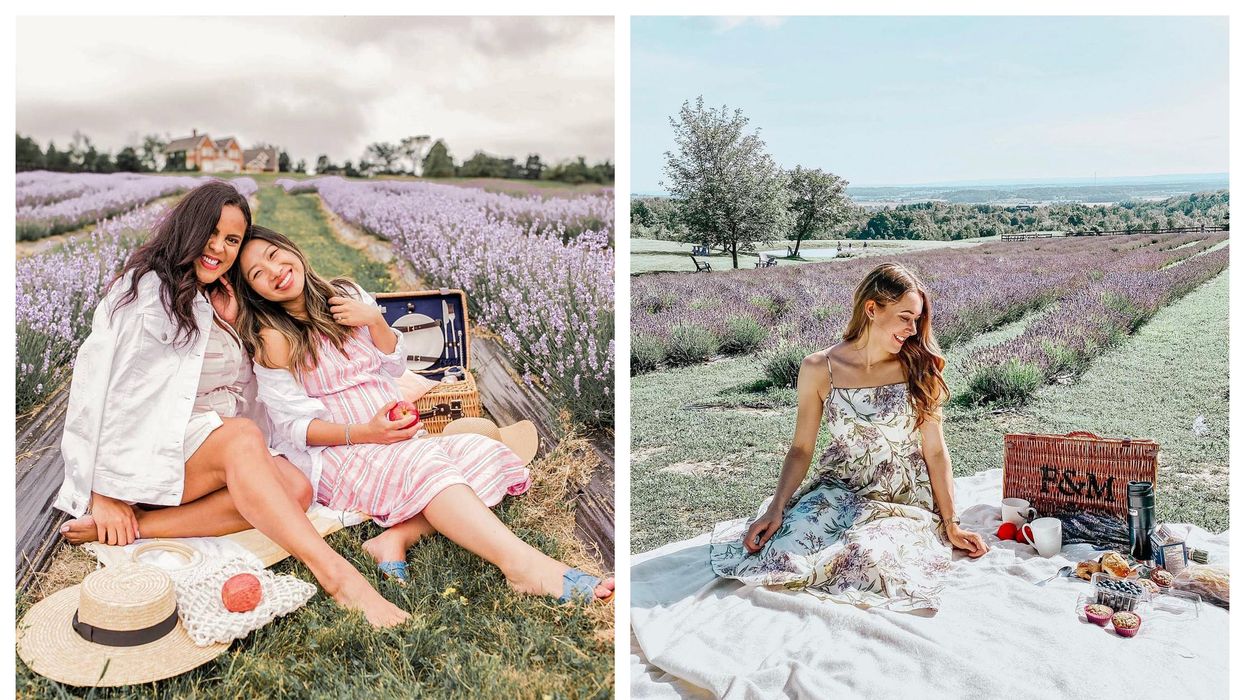 You Can Have A Picnic At This Dreamy Lavender Farm In Ontario