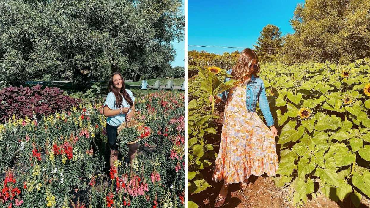 You Can Pick Your Own Bouquet At This Dreamy Flower Farm In Ottawa
