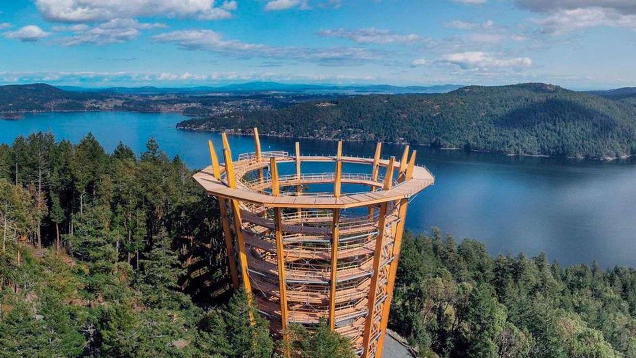 You Can Visit The New Malahat Skywalk On Vancouver Island