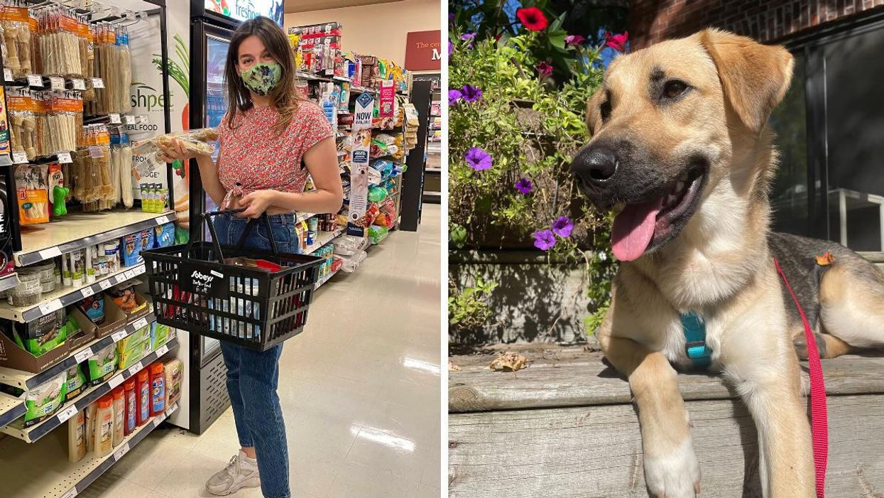 You Could Win $1,000 In Sobeys & Safeway Gift Cards To Treat Your Pet To Some Snacks