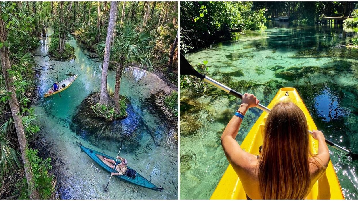 You Will Feel Like You're In The Amazon While Kayaking Down This Lazy River In Florida