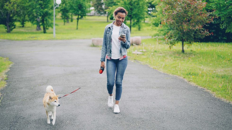 Young woman walks her dog while using smartphone.