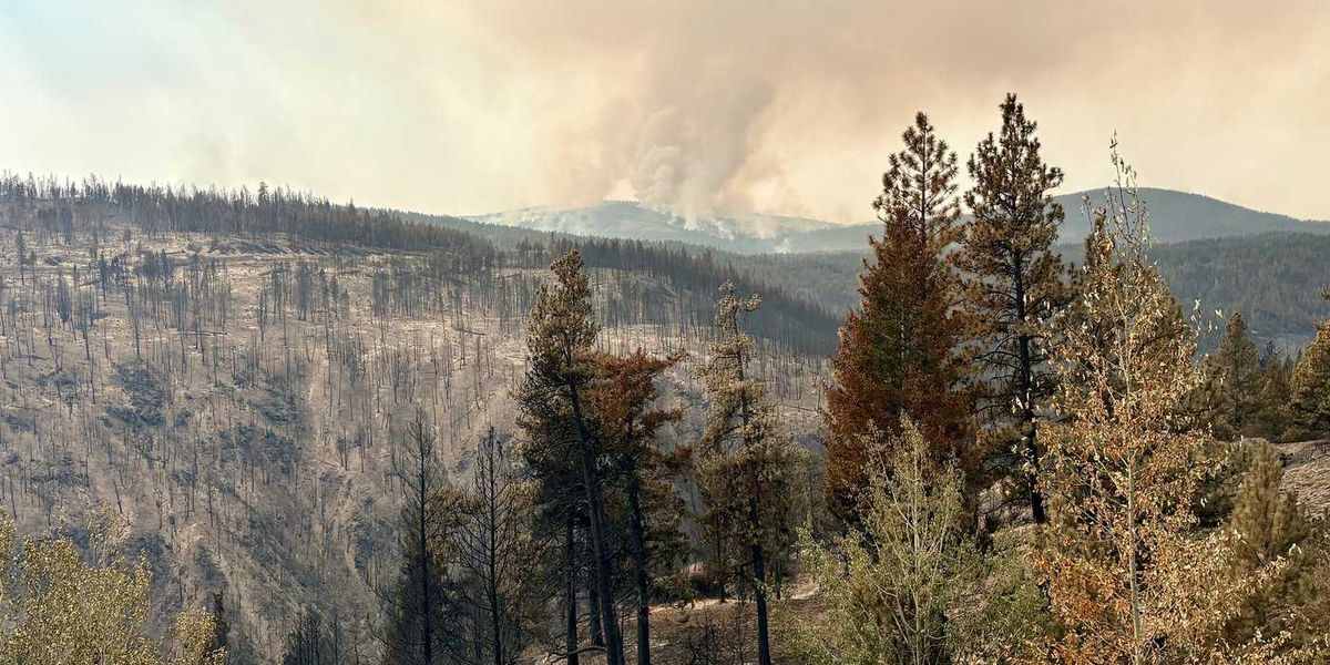 Yukon First Nations firefighters wonder why they haven’t been called to help in B.C. Yukon First Nations firefighters wonder why they haven’t been called to help in B.C.