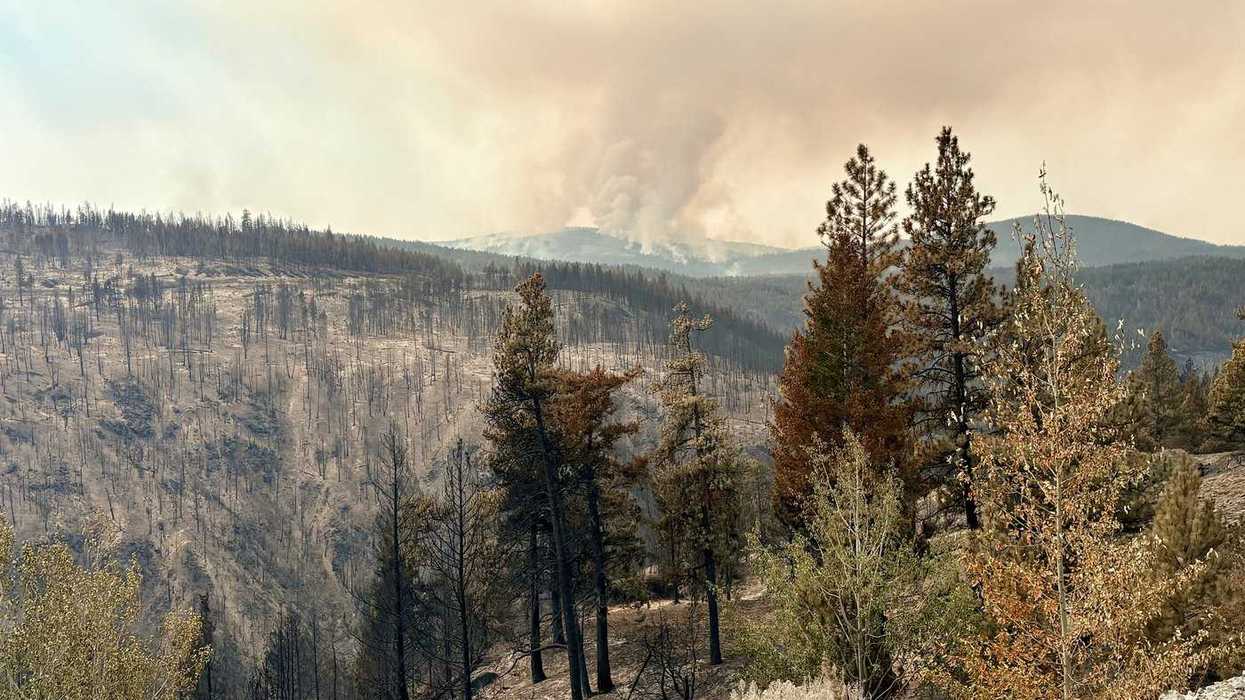 Yukon First Nations fire crews 'skipped' in B.C.